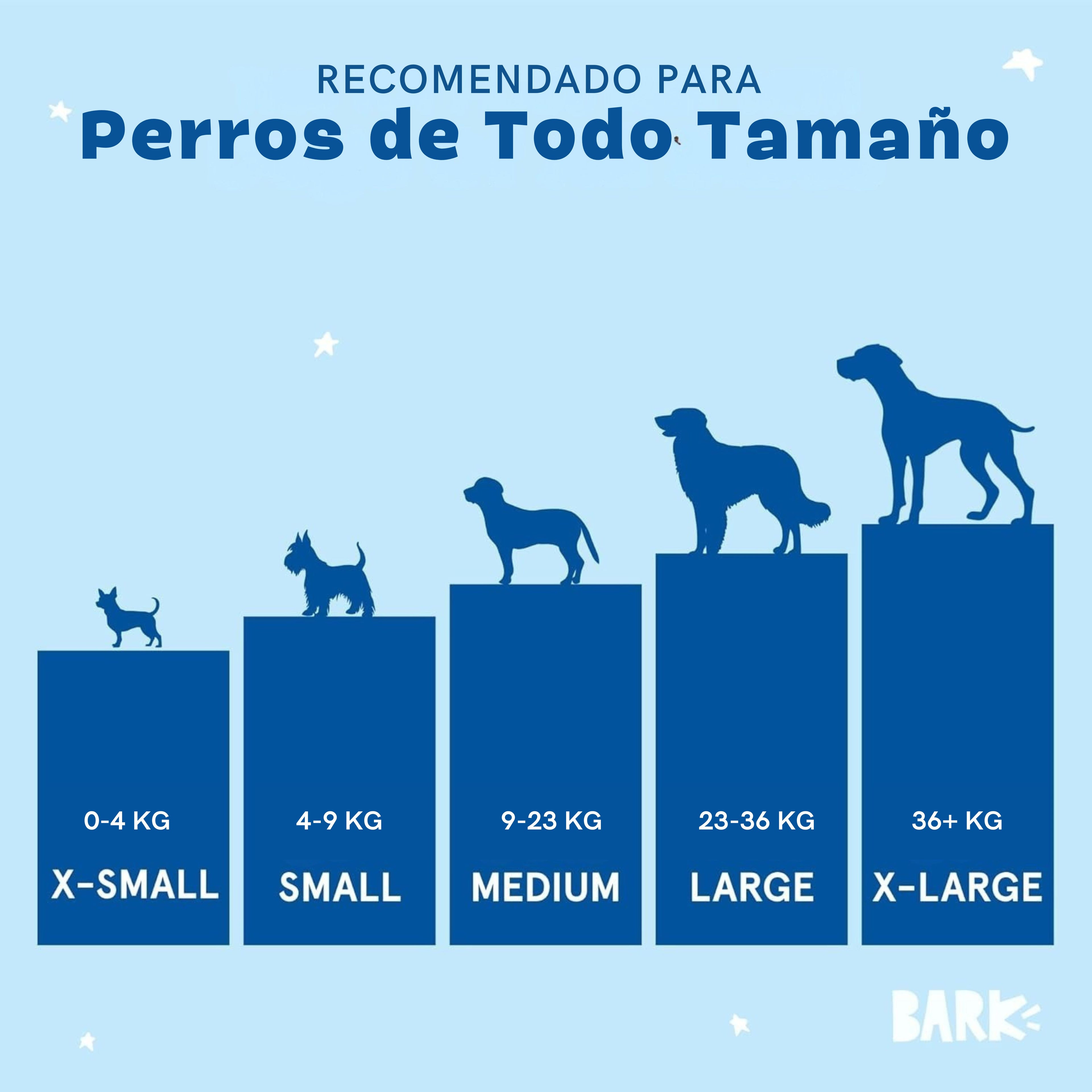 Tottem Box: Good vibes Gary