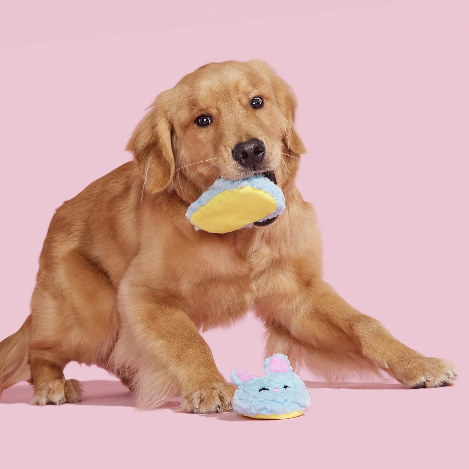 Tottem Box: Yippy & Skippy